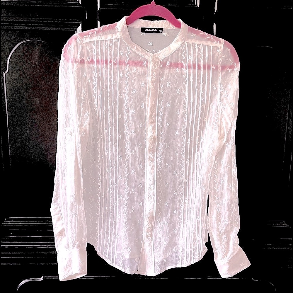 NEW DOLCE CABO CREAM SHEER BLOUSE